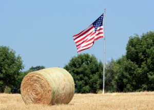 flag farm