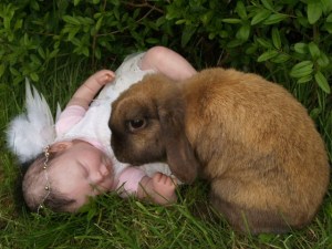 easter_rabbit_and_baby